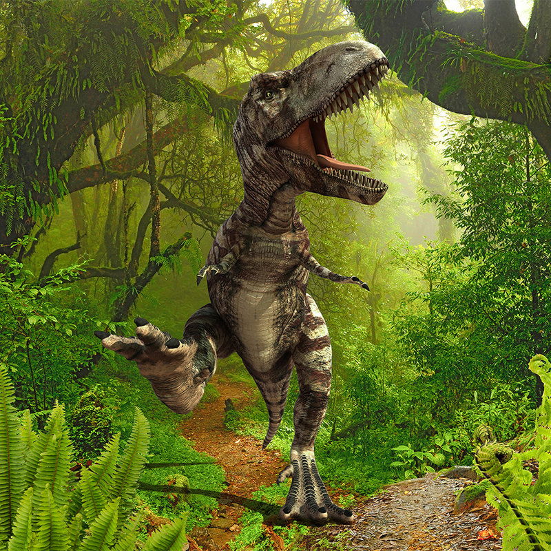             livingwalls Fototapete XXLwallpaper 3
        