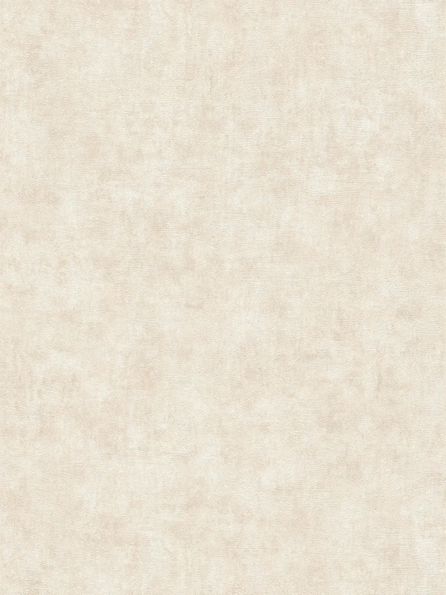             Vliestapete auf Vliesträger mit Betonoptik und sanfter Struktur – Creme, Beige
        