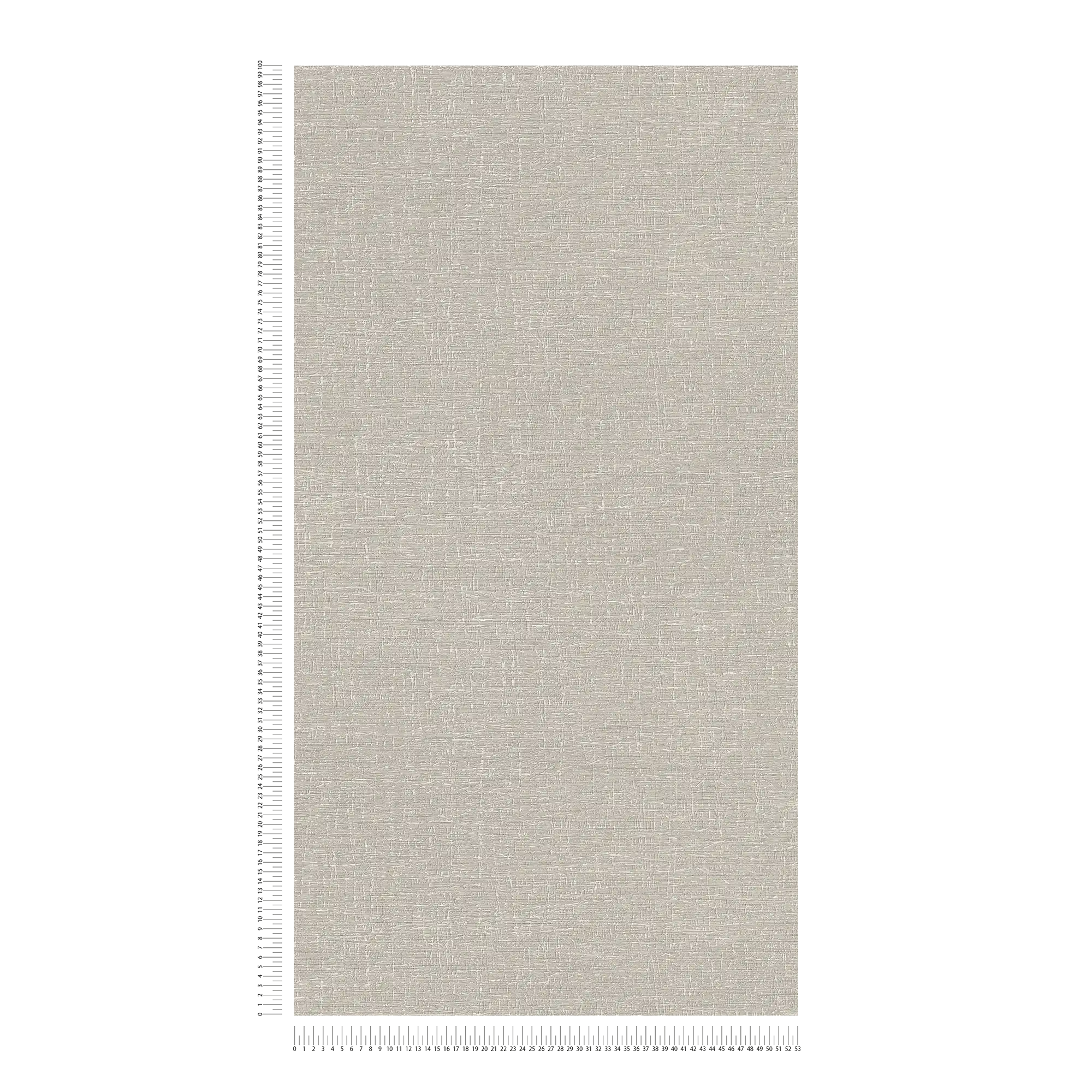 Strukturierte Vliestapete in matter Optik – Beige