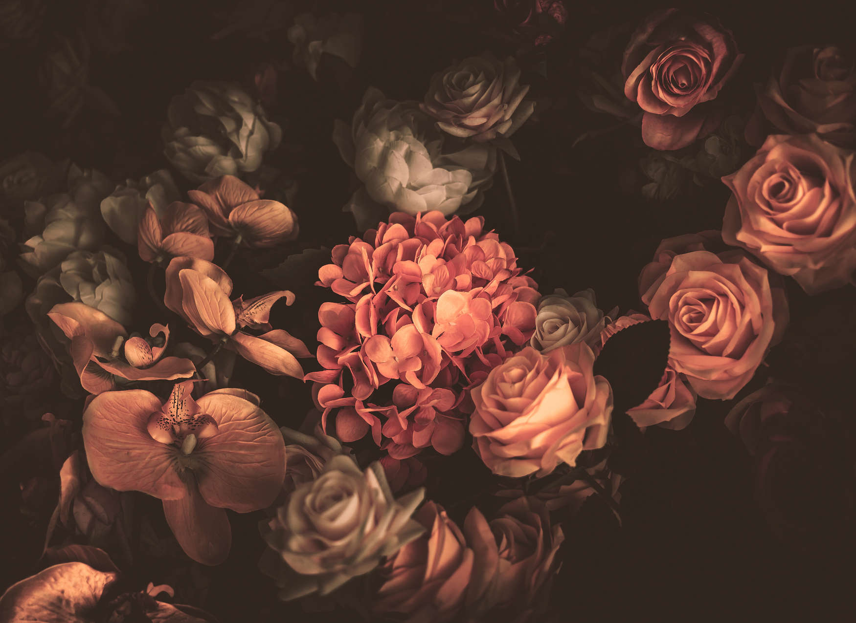 Blume, Rose, Blütenblatt, Blumen-Arrangement, Blumenstrauß
