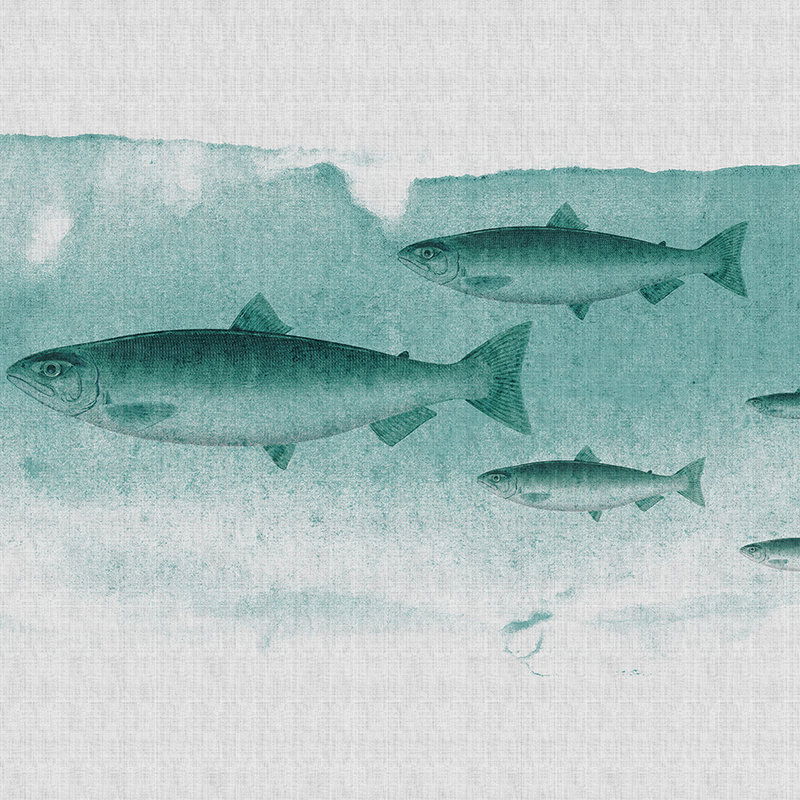 Tier, Coho, Fische, Leben im Meer, Hering