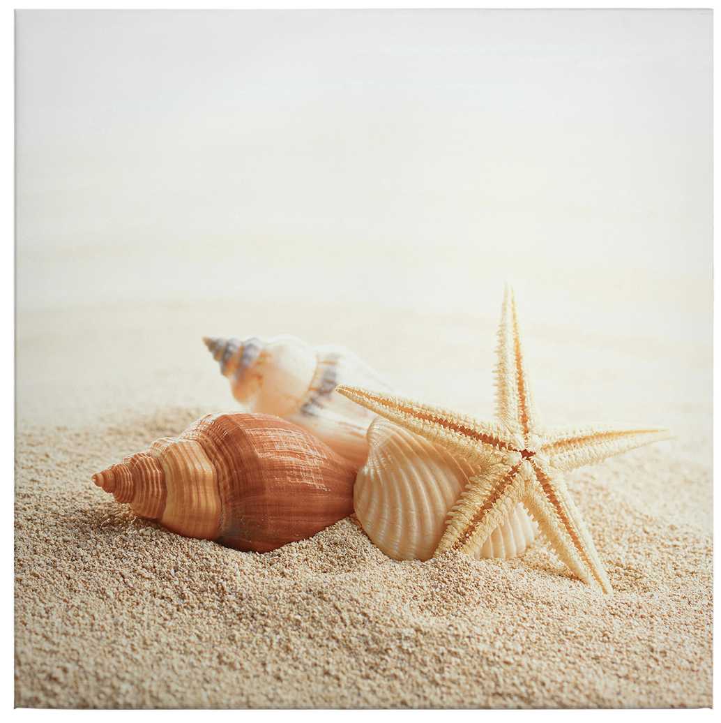 Quadratisches Keilrahmenbild Seestern und Muscheln – 0,50 m x 0,50 m