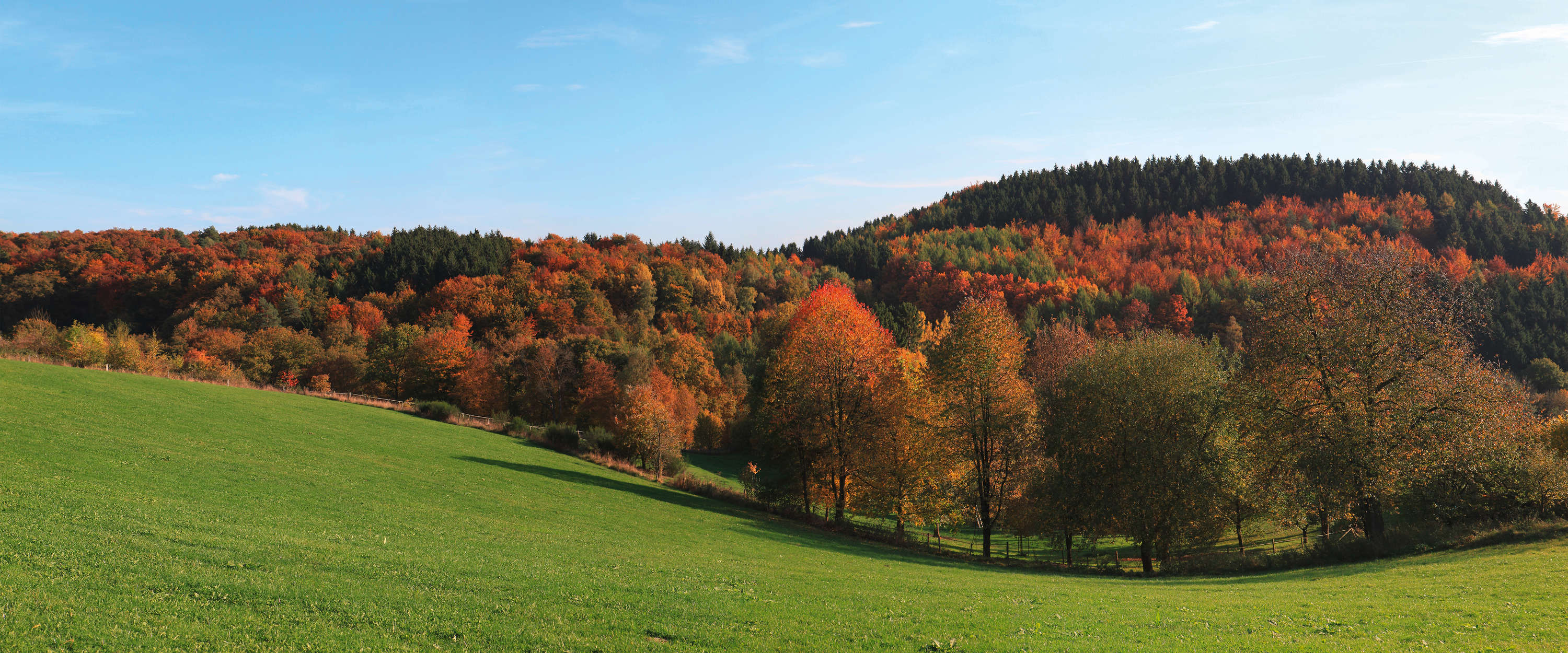 Landschaft, Herbstfarben, Wald, Hügel, grüne Wiese