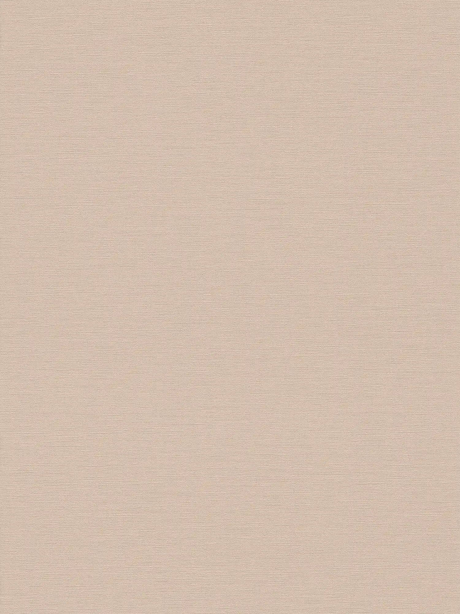 Discreet plain wallpaper - beige