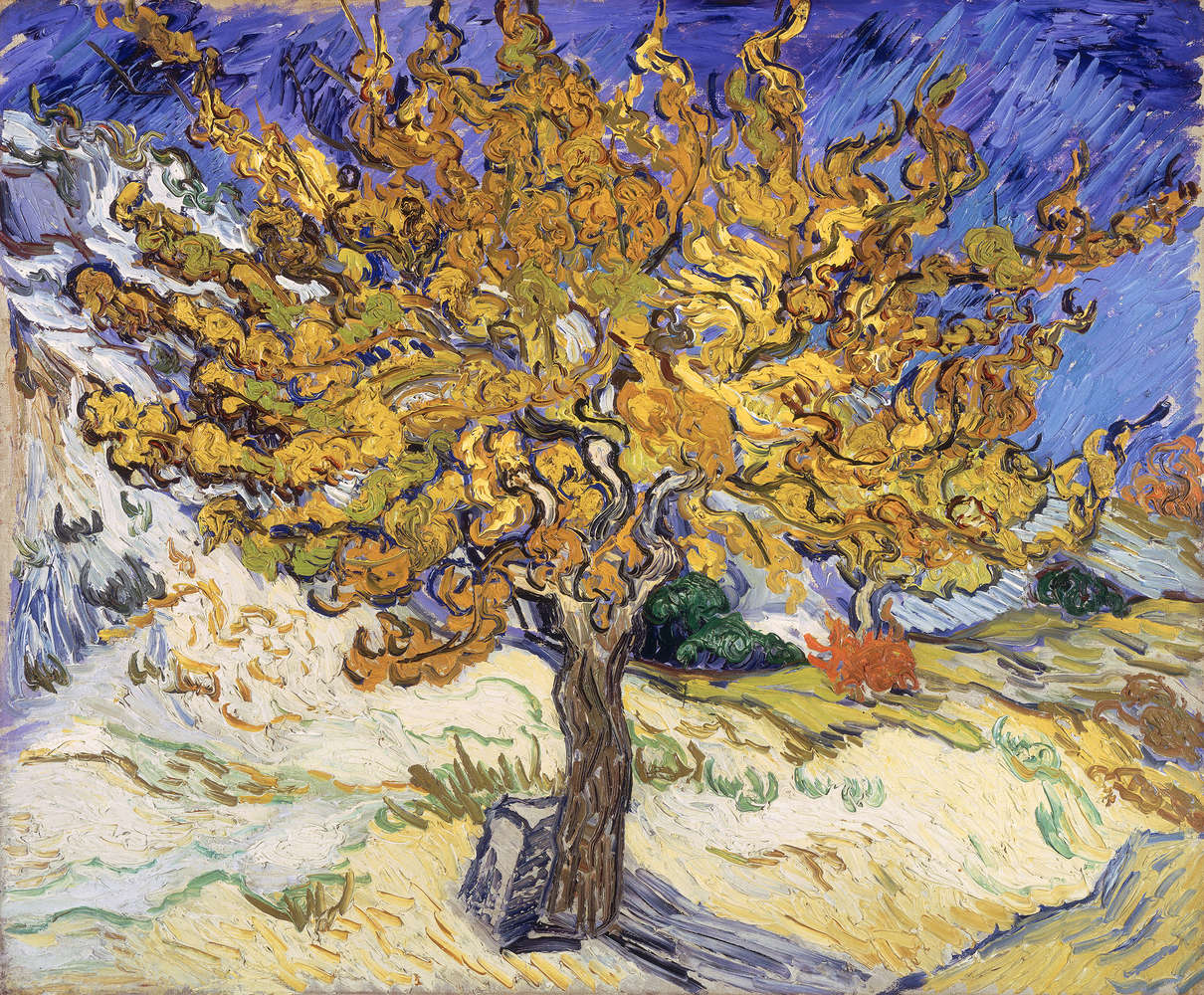 Fototapete 'Maulbeerba' von Vincent van Gogh