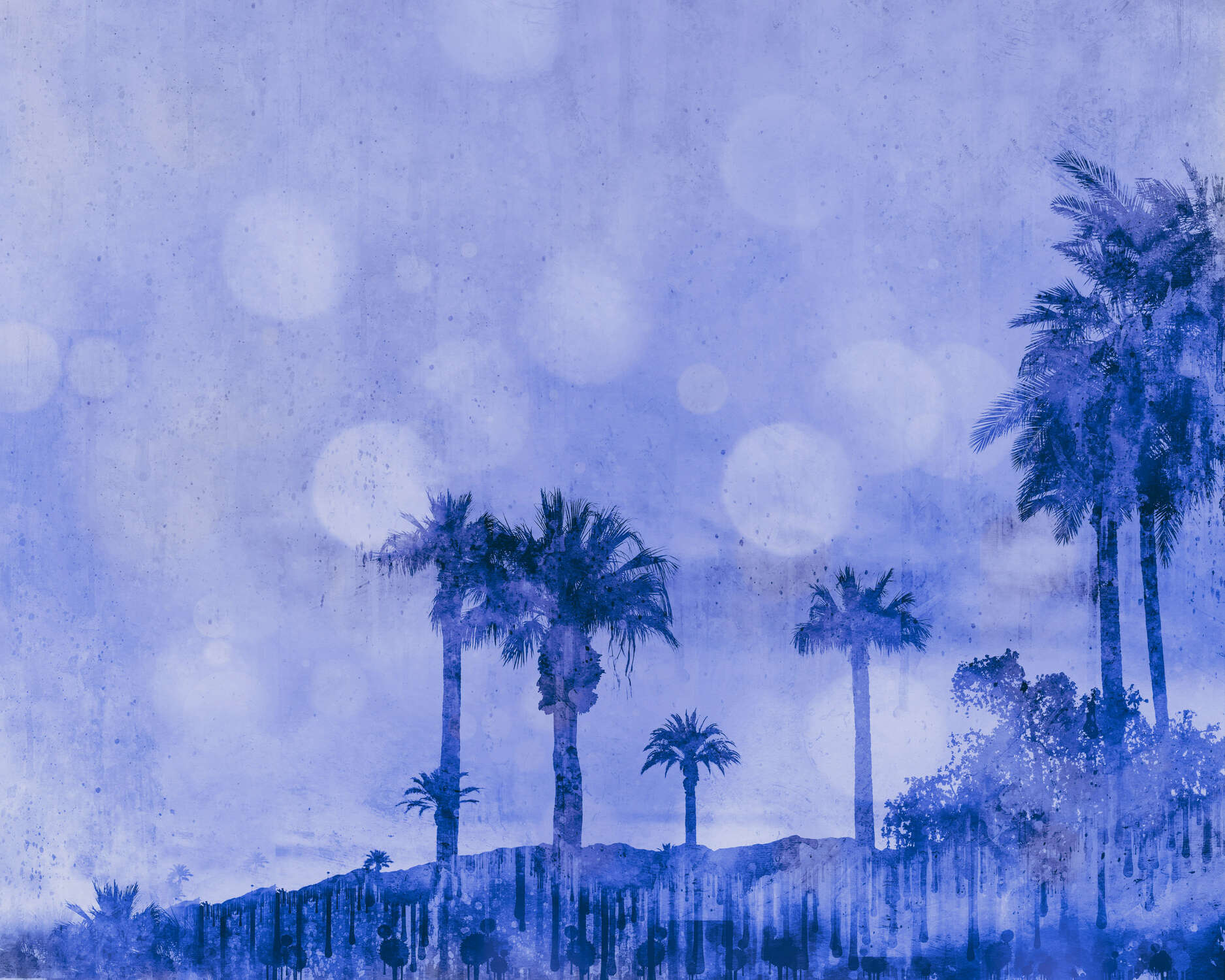 palm trees, silhouette, blue tint, sky, landscape