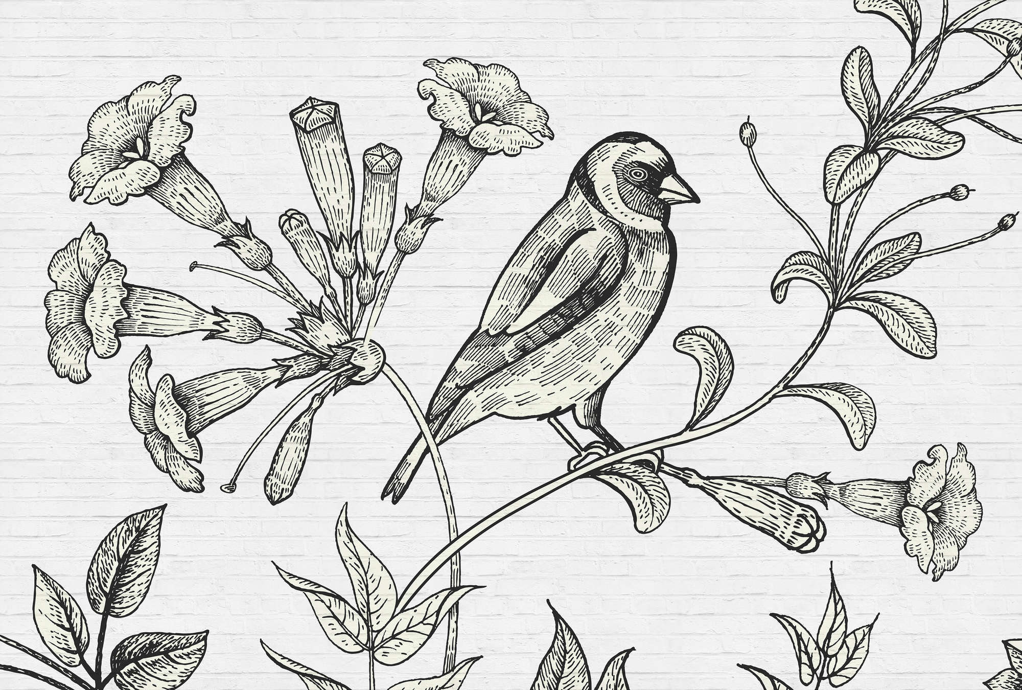 Kunst, Zeichnen, Tier, Vogel