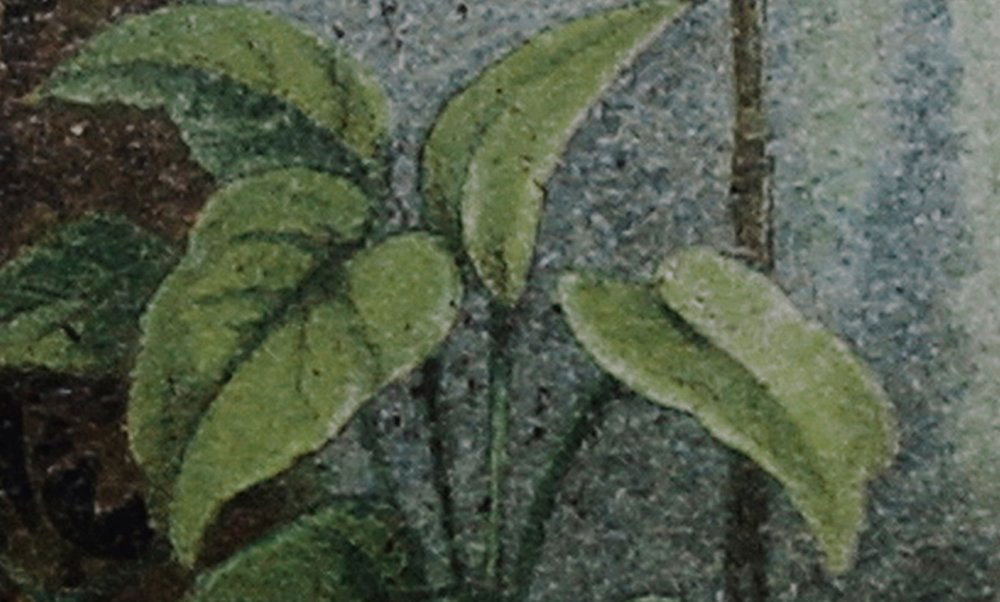             Papier peint jungle style dessin - Walls by Patel
        