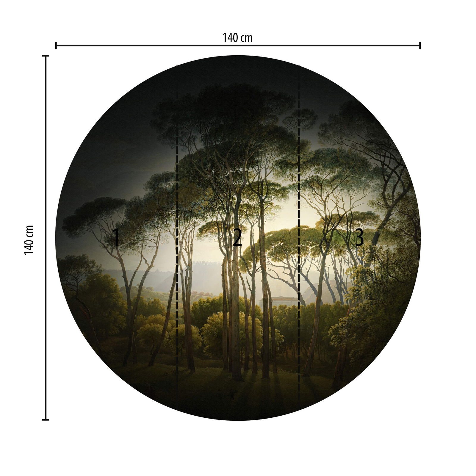             Fototapete rund Urwald im Dunkeln
        