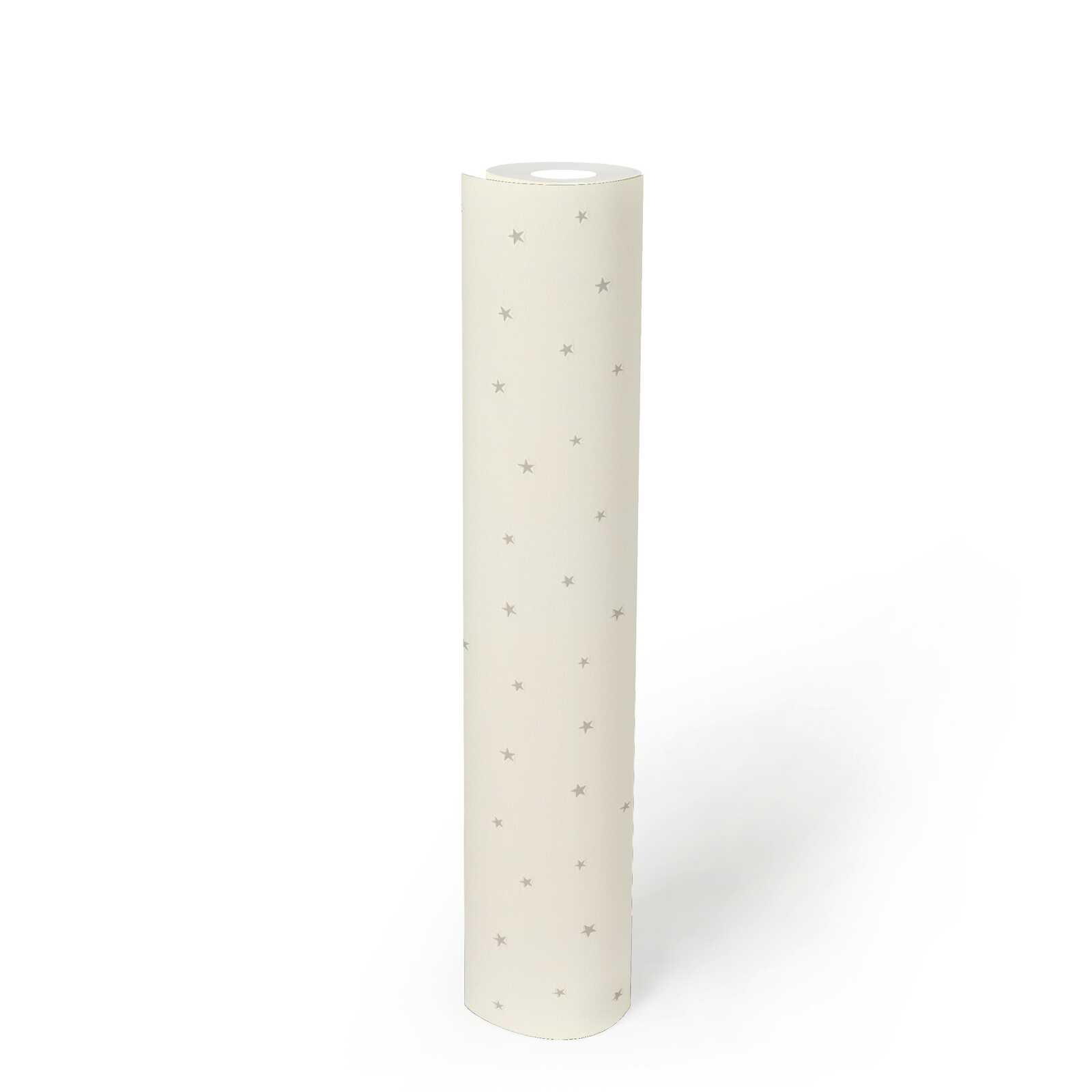 Geschenkpapier, Papierrolle, Sterndruck, Beige, Rollpapier