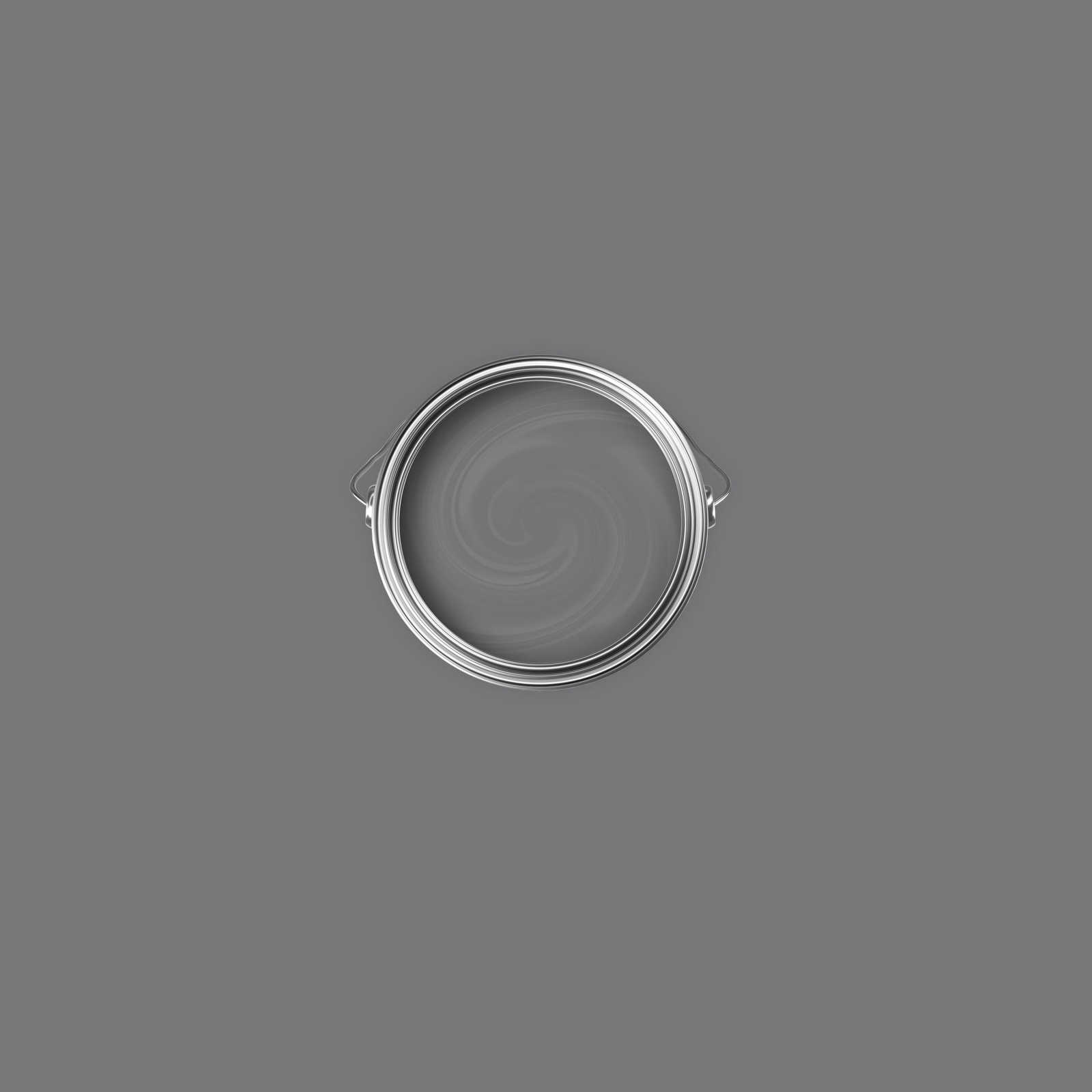Premium Wandfarbe würdevolles Stahlgrau »Industrial Grey« NW105 – 1 Liter