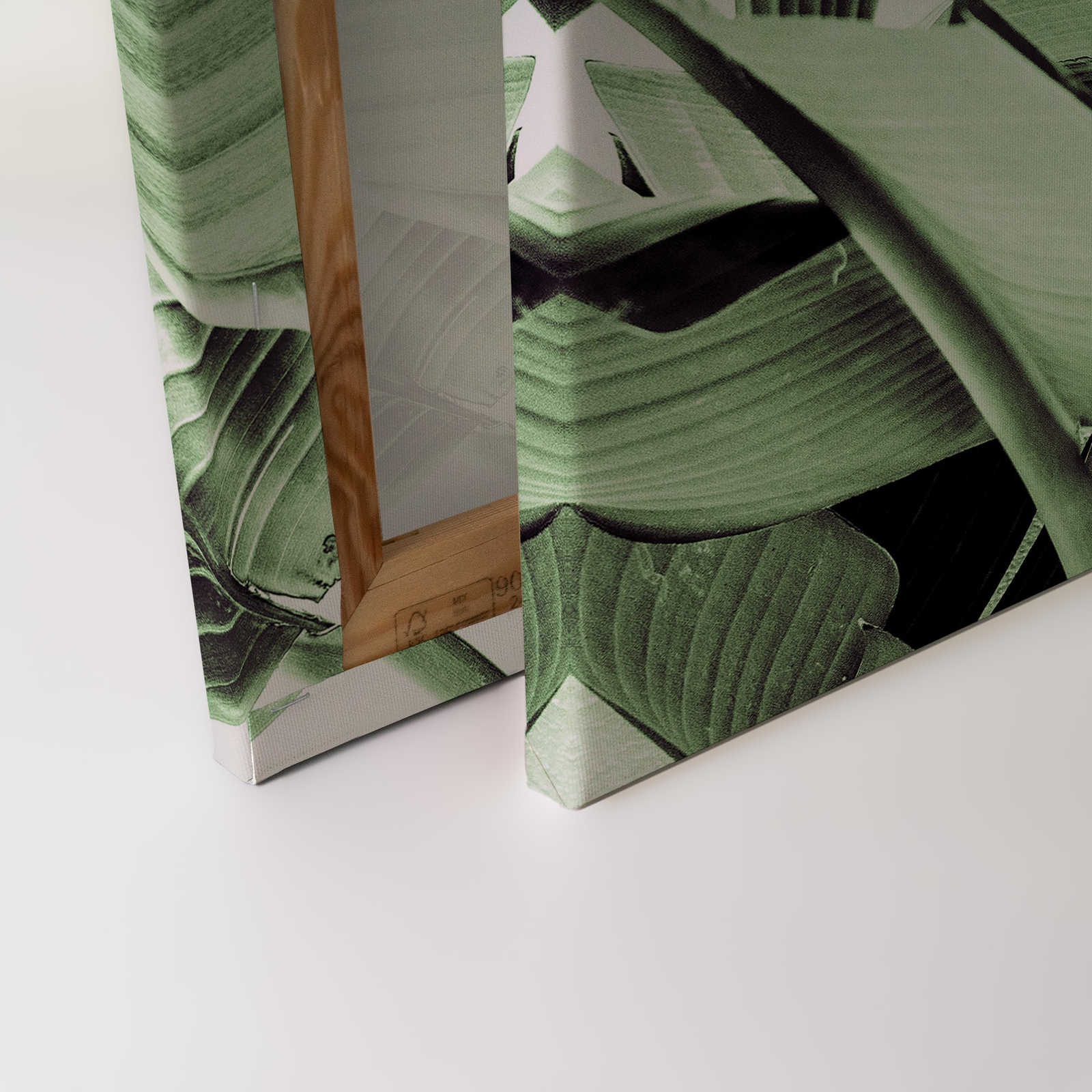             Leinwandbild Detailaufnahme von Palmenblättern – 0,90 m x 0,60 m
        