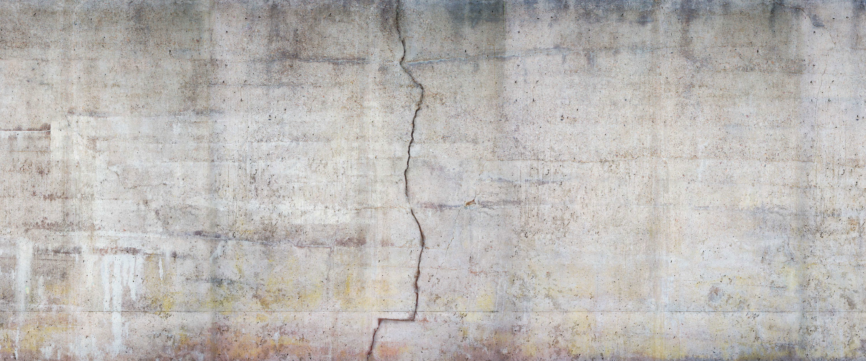             Fototapete Betonriss – Betonmauer im Used Look
        