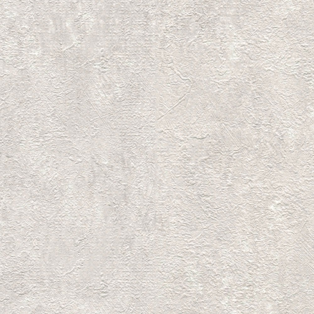             Putzoptik Tapete mit Struktureffekt in Hellgrau
        