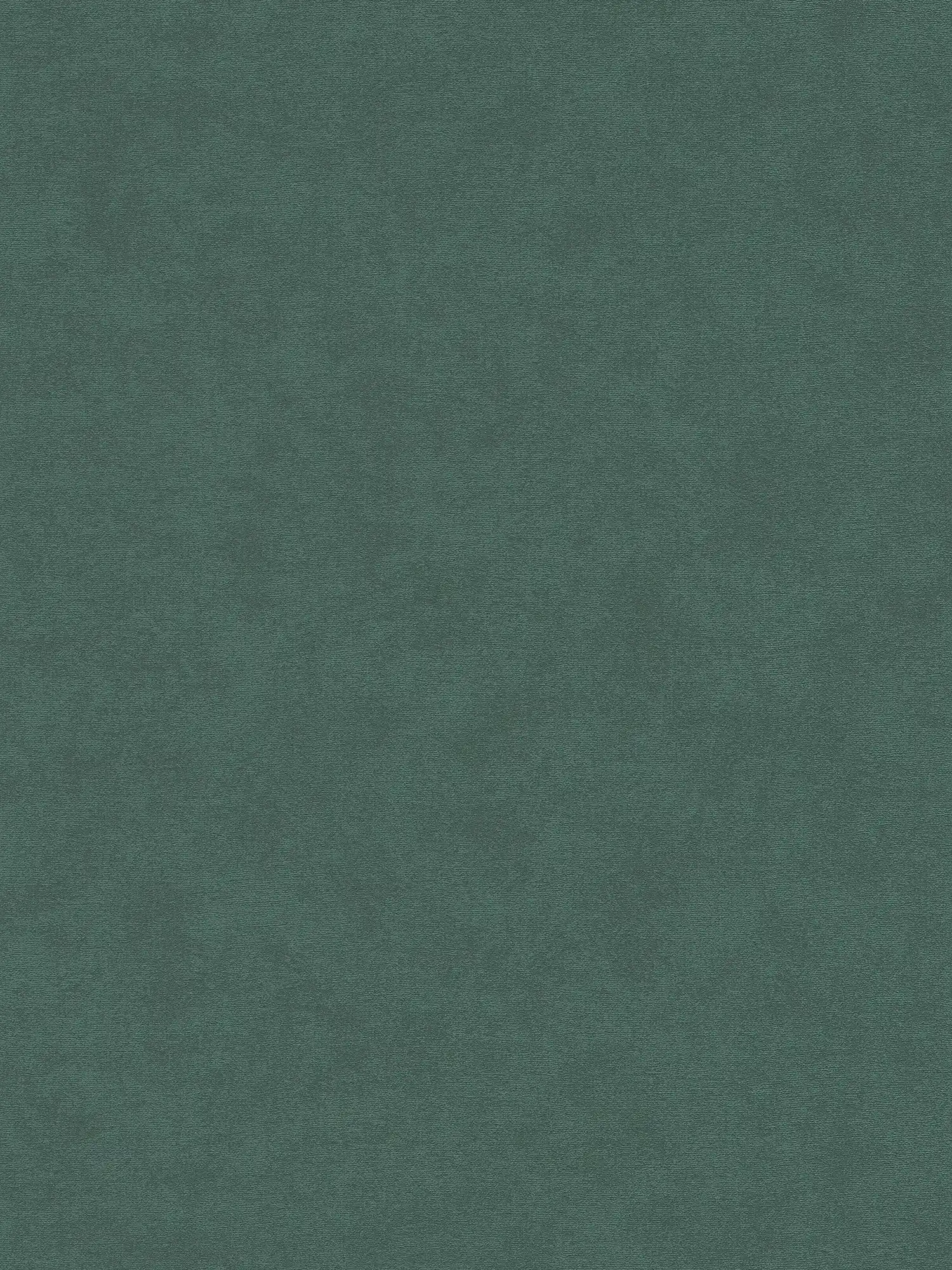         Non-woven wallpaper with a light texture, single-coloured - green
    