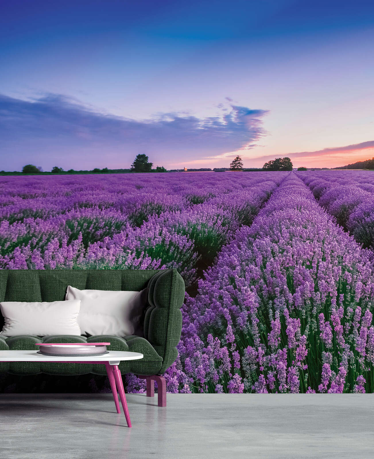             Fototapete Lavendelfelder der Provence – Romantische Vliestapete mit violettem Blütenmeer – Bunt
        