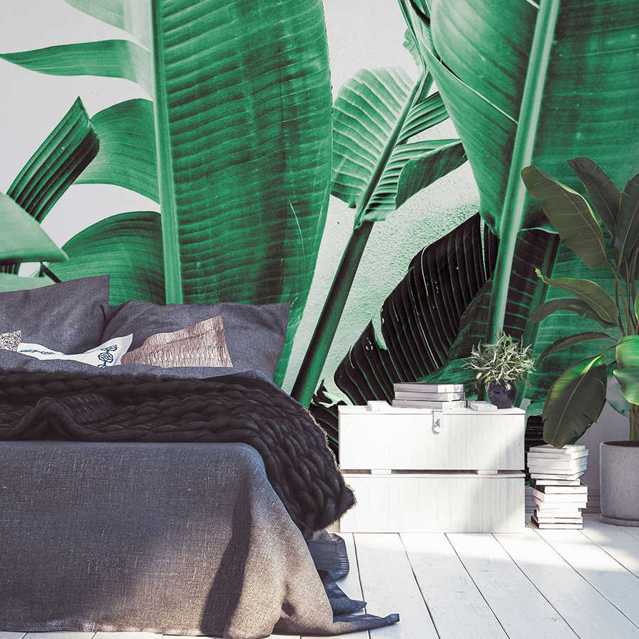 bett, kissen, decken, pflanzen, wohnzimmer