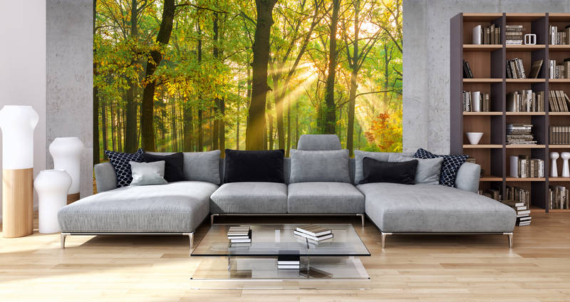 Wohnzimmer, Sofa, Sofagarnitur, Wohnzimmertisch, Regal