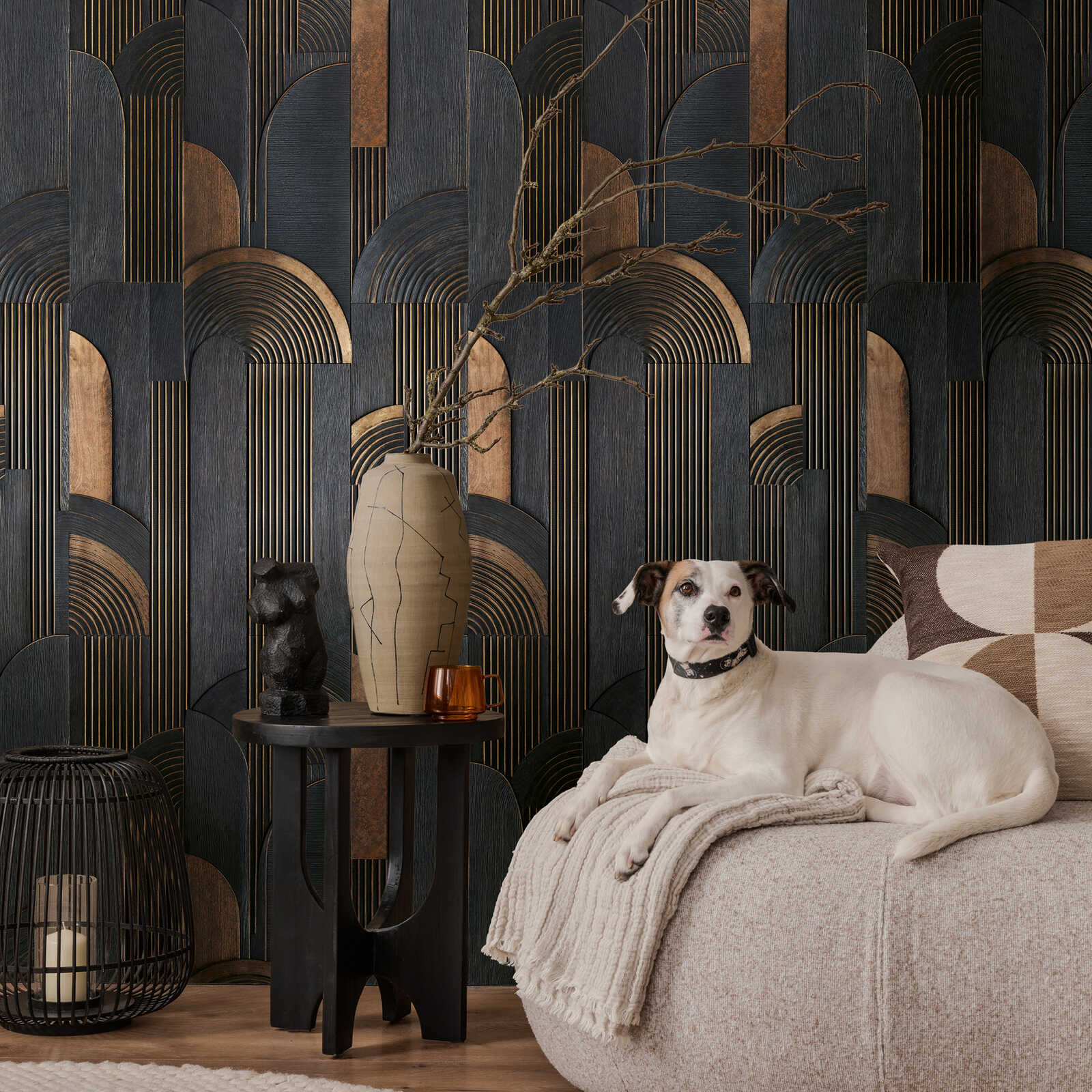 Drinnen, Innenarchitektur, Hund, Säugetier, Haustier