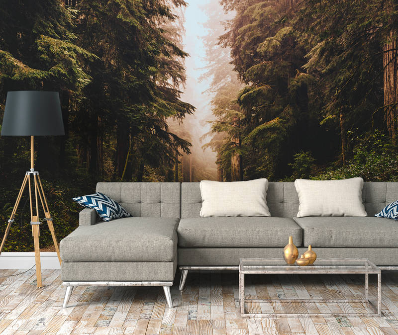 Lampe, Couch, Mobiliar, Inneneinrichtung, Stehlampe