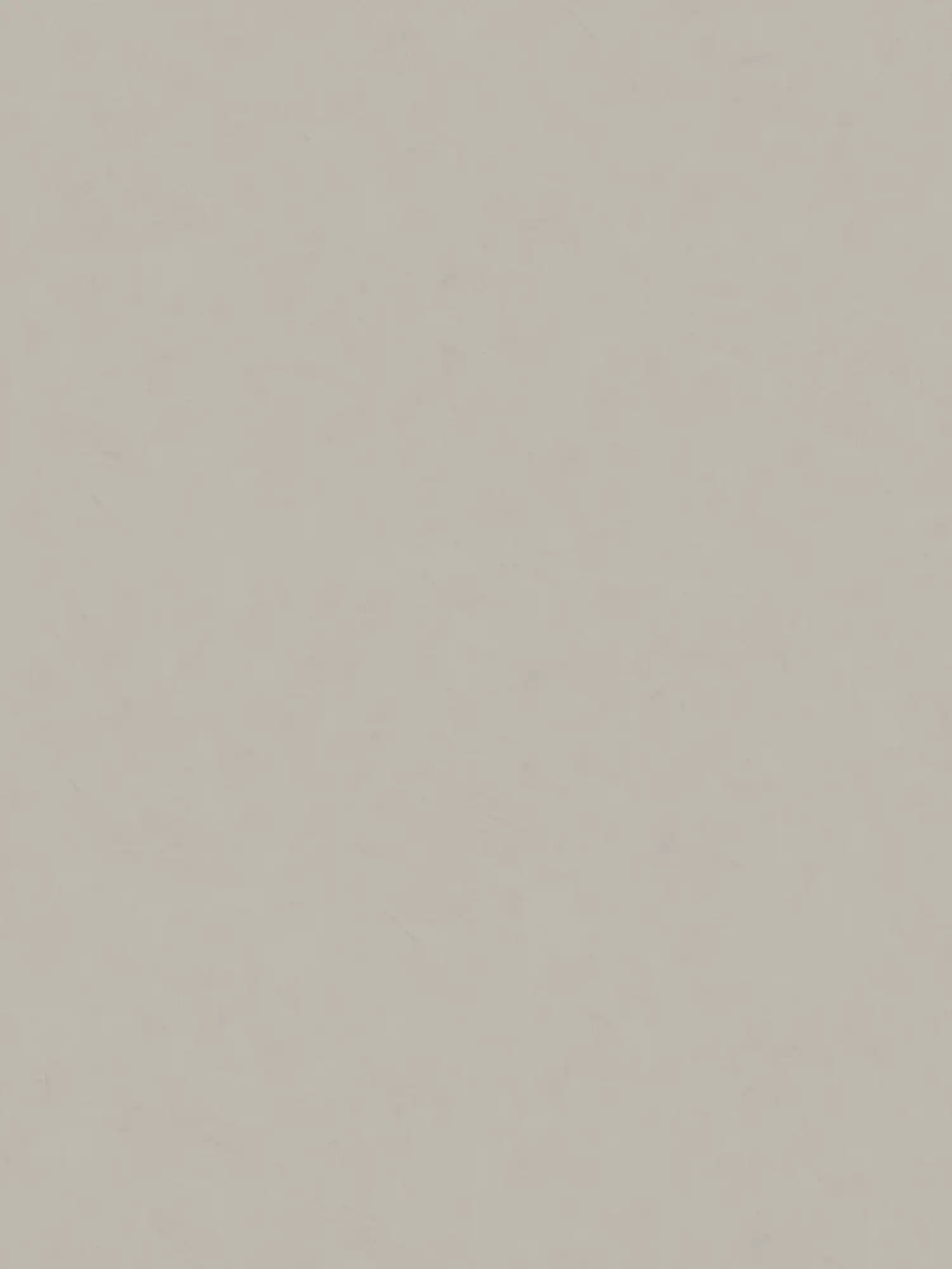         Plain non-woven wallpaper trowel plaster look - grey, taupe
    