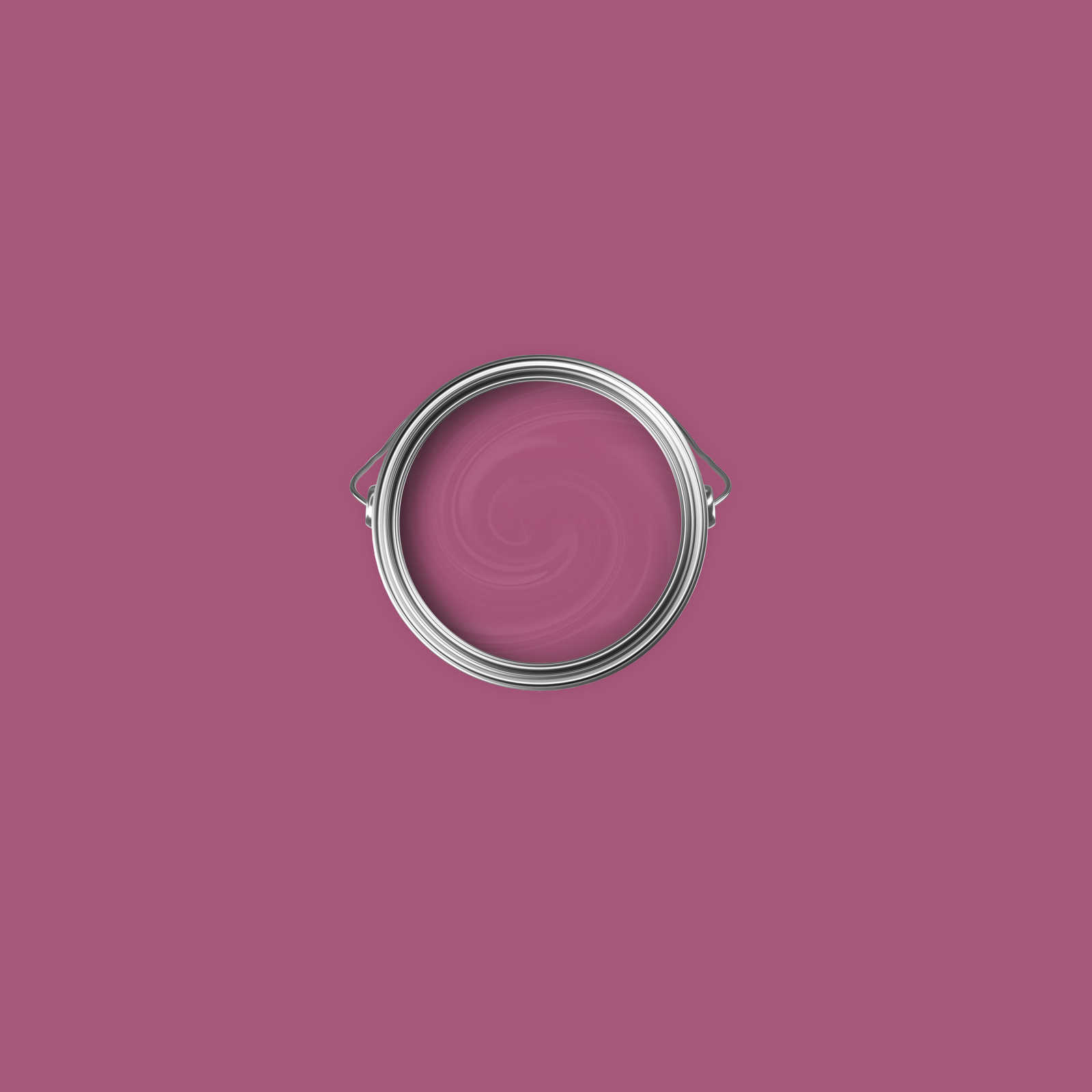             Premium Muurverf stimulerende bes »Beautiful Berry« NW208 – 1 liter
        