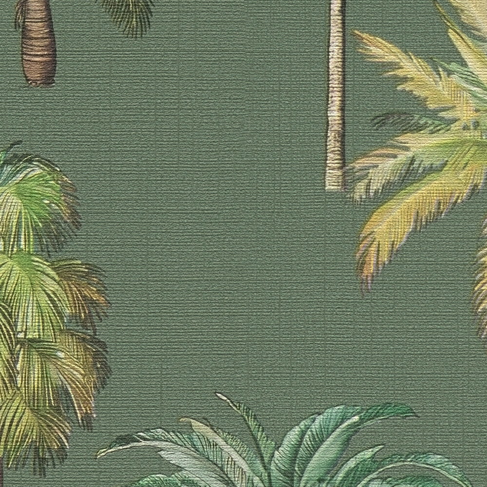 Dekoration für Zuhause, Pflanze, Vegetation, Palme, Teppich