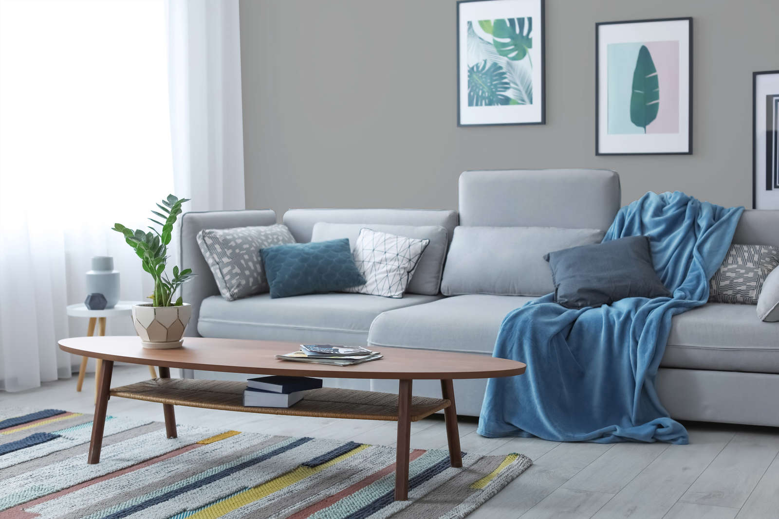 sofa, wohnzimmer, kissen, teppich, pflanze
