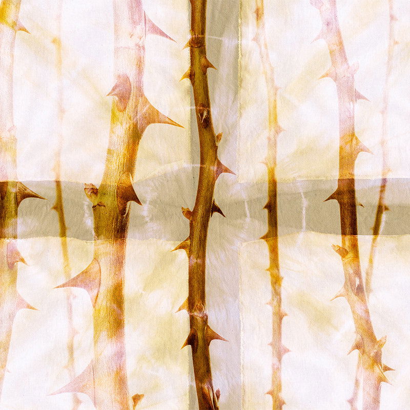         Fantasy Fototapete mit Dornenmuster, Pastell – Orange, Weiß, Grau
    