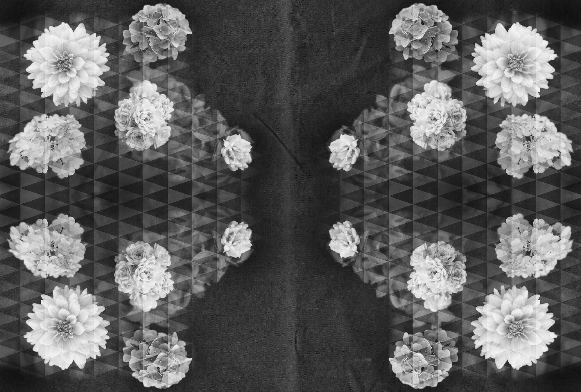             Moderne Vliestapete – Fototapete mit weißen Blüten im Schwarz-Weiß Kontrast – Schwarz, Weiß
        