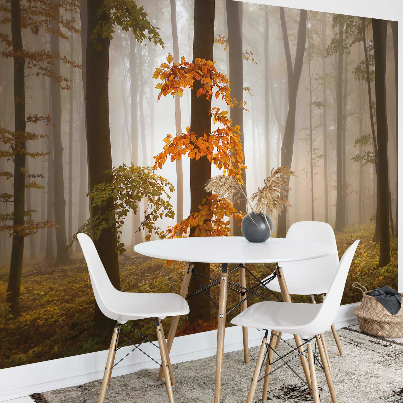 Fototapete Wald im Herbst mit Nebel – Orange, Braun