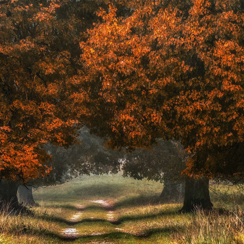         Architects Paper Fototapete AP Digital 4
    