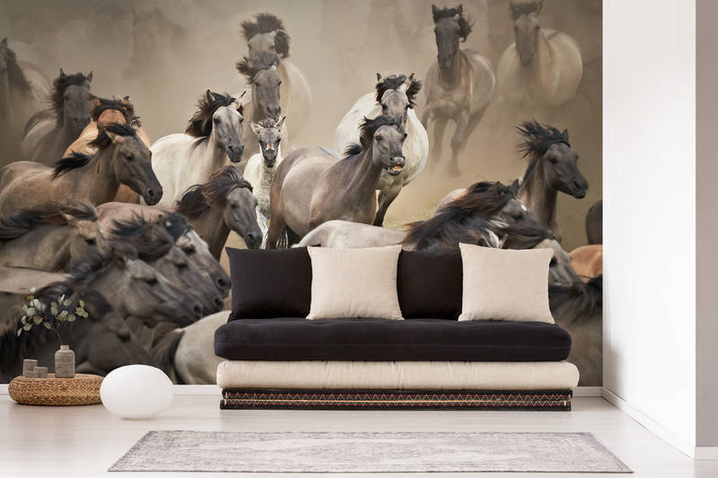 Pferde, Mural, Sofa, Kissen, Wohnzimmer