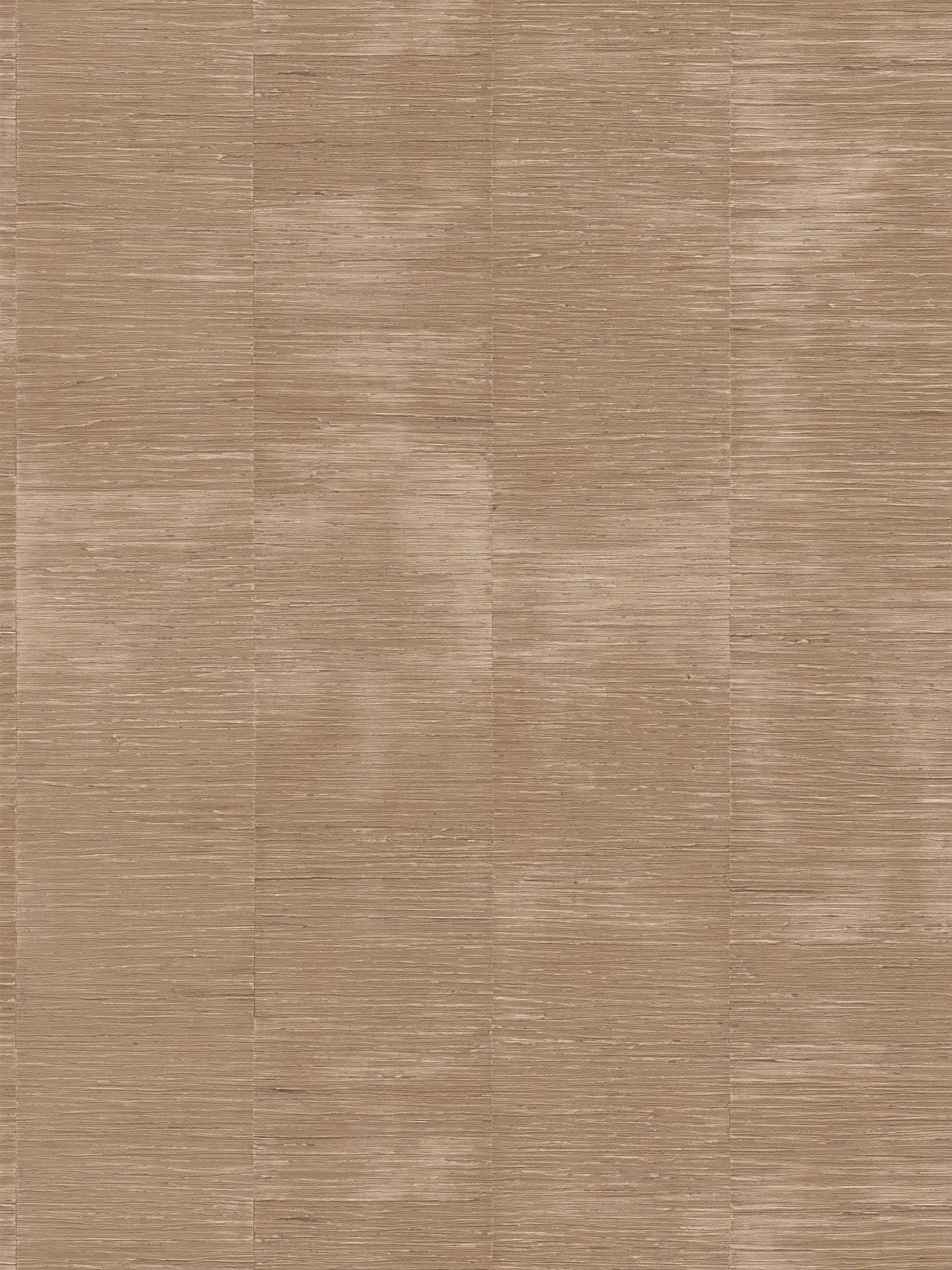         Daniel Hechter Fine textured non-woven wallpaper with bamboo look - beige, brown
    