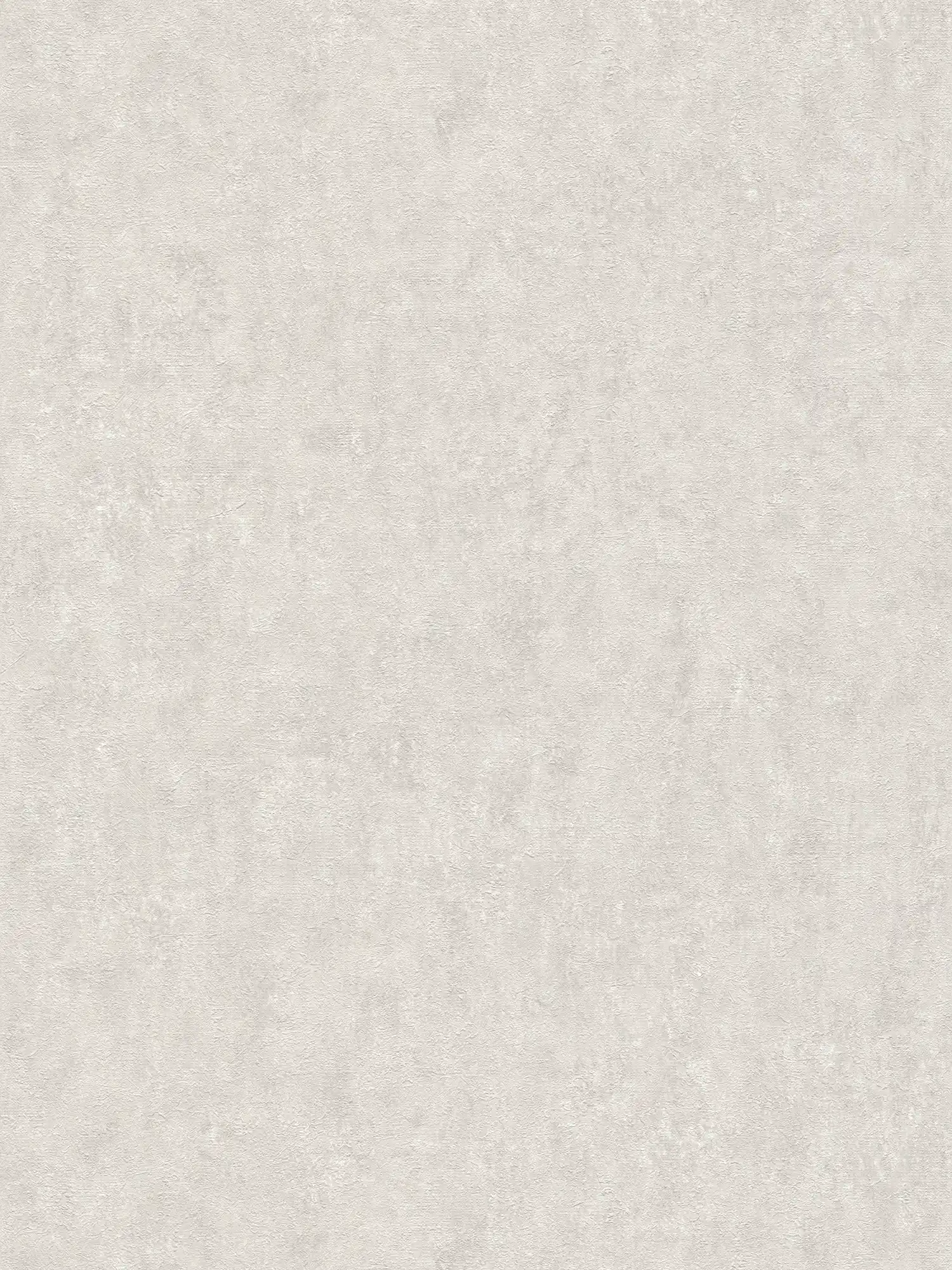         Gipsoptisch behang met structuureffect in lichtgrijs
    