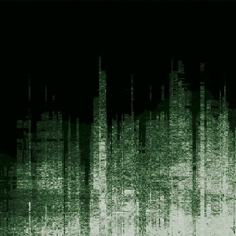         Fototapete in Schwarz mit abstraktem Linienmuster – Grün, Schwarz, Weiß
    