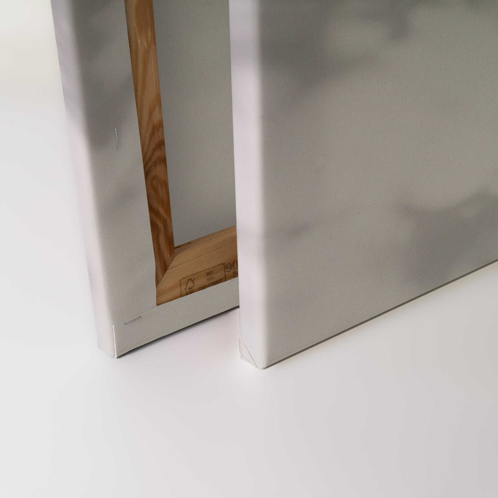 Light Room 1 - Leinwandbild Natur Schatten in Grau &amp; Weiß – 0,90 m x 0,60 m