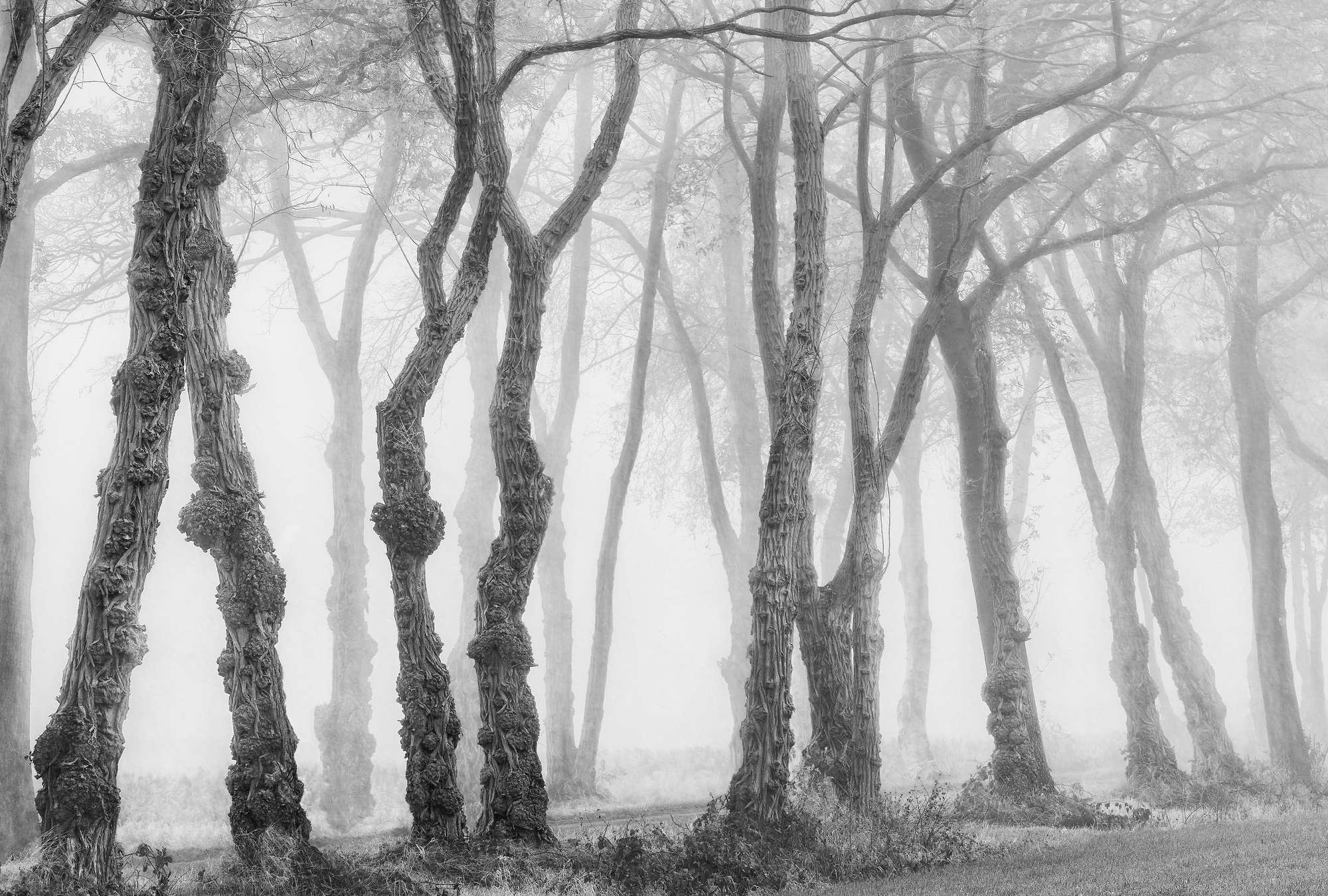             Architects Paper Fototapete AP Digital 4
        