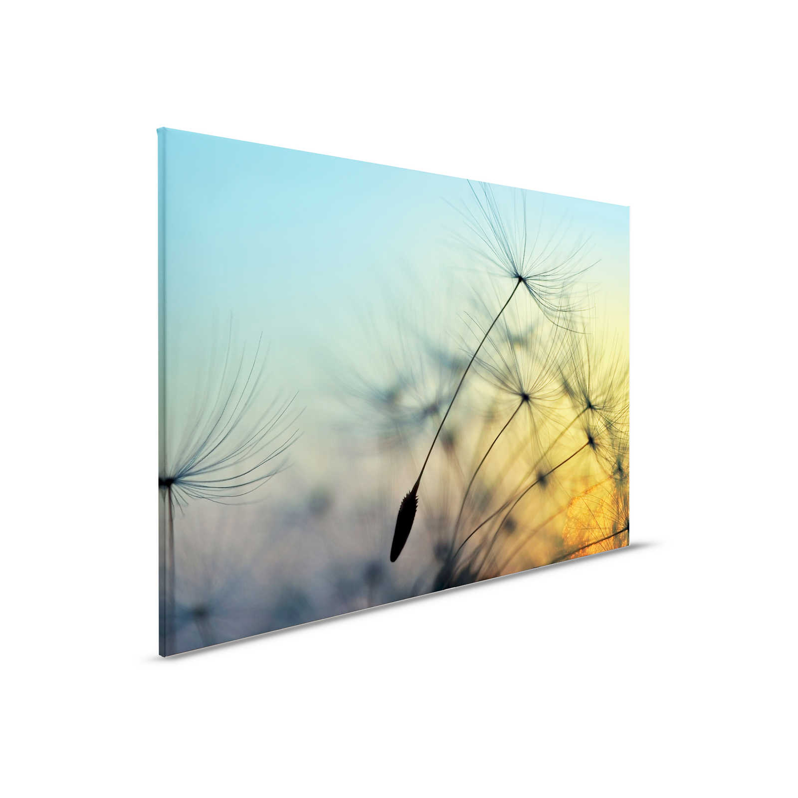        Leinwand Pusteblume & Sonnenuntergang – 0,90 m x 0,60 m
    