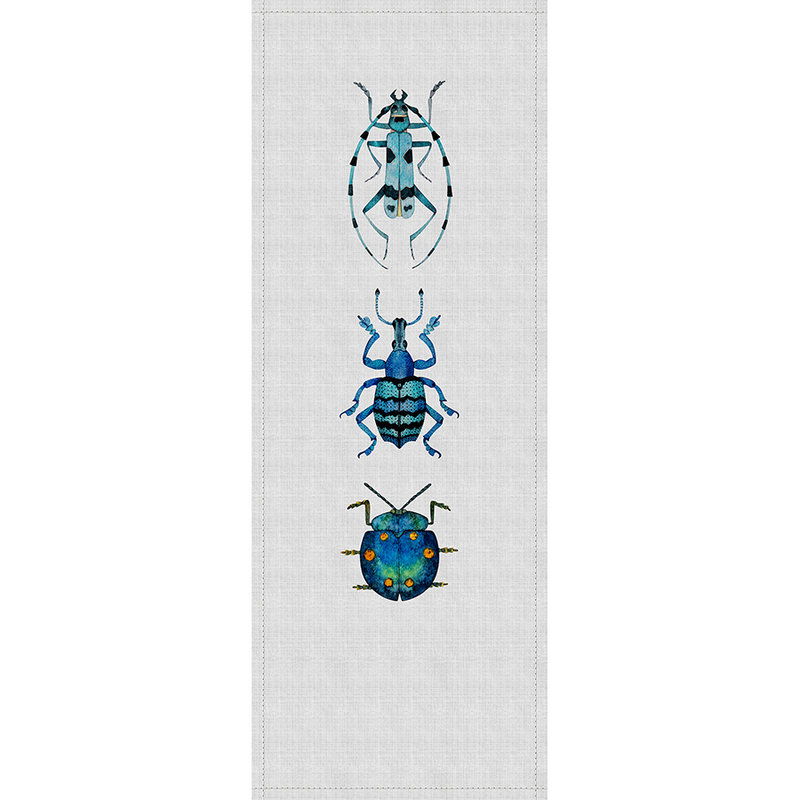 Zubehor, Ohrring, Schmuck, Insekt, Edelstein