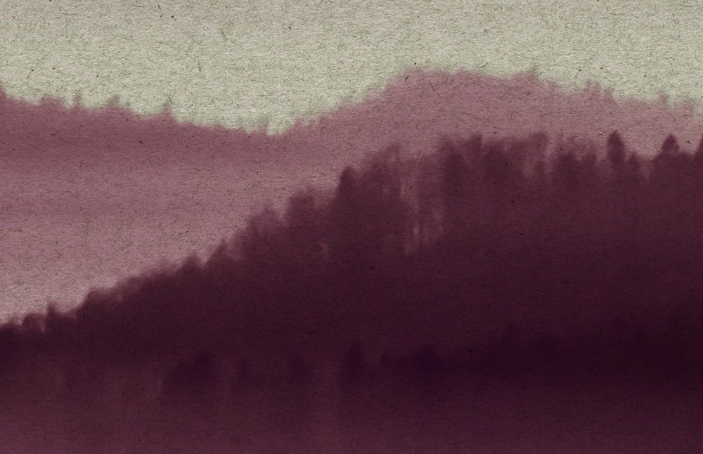 Natur, Draußen, Wetter, Nebel, Baum