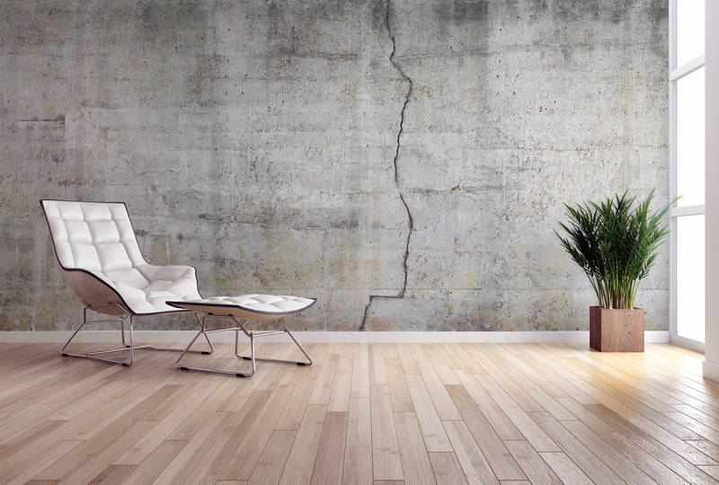 Lounge Chair, Lederstuhl, Weiße Sitzgelegenheit, Moderner Wohnraum, Topfpflanze