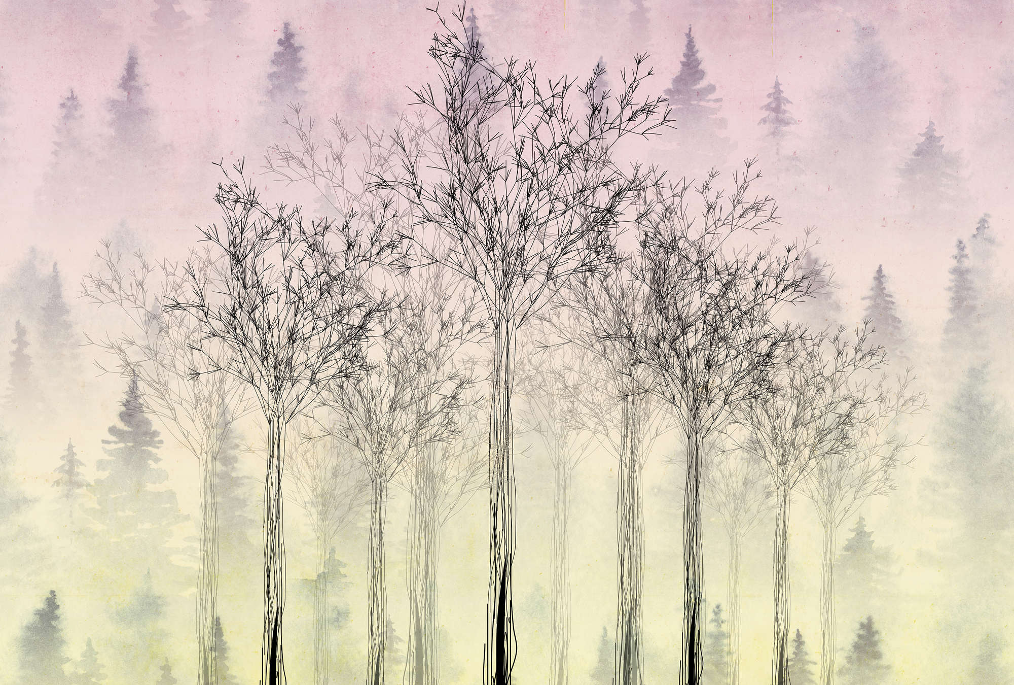 Baum, Kunst, Draußen, Wetter, Vegetation