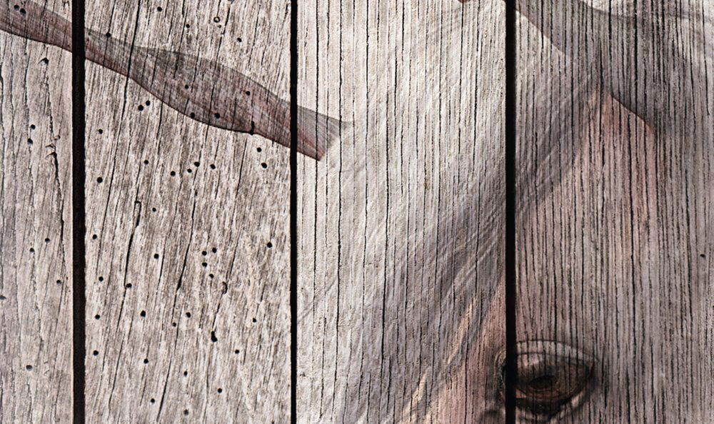 Holz, Innenarchitektur, Hartholz, Gebeiztes Holz, Schnittholz