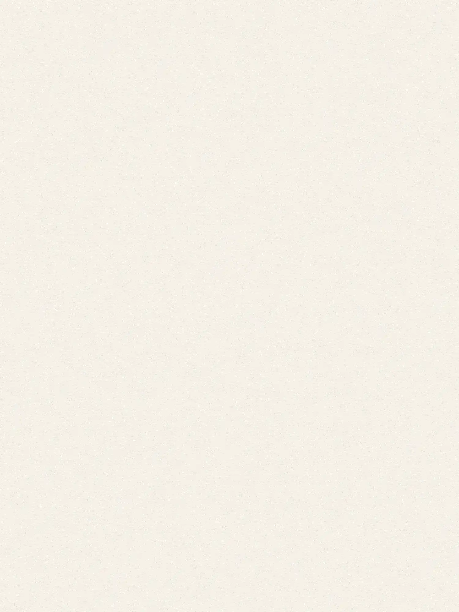         Papier peint intissé mat blanc uni neutre avec structure en mousse
    