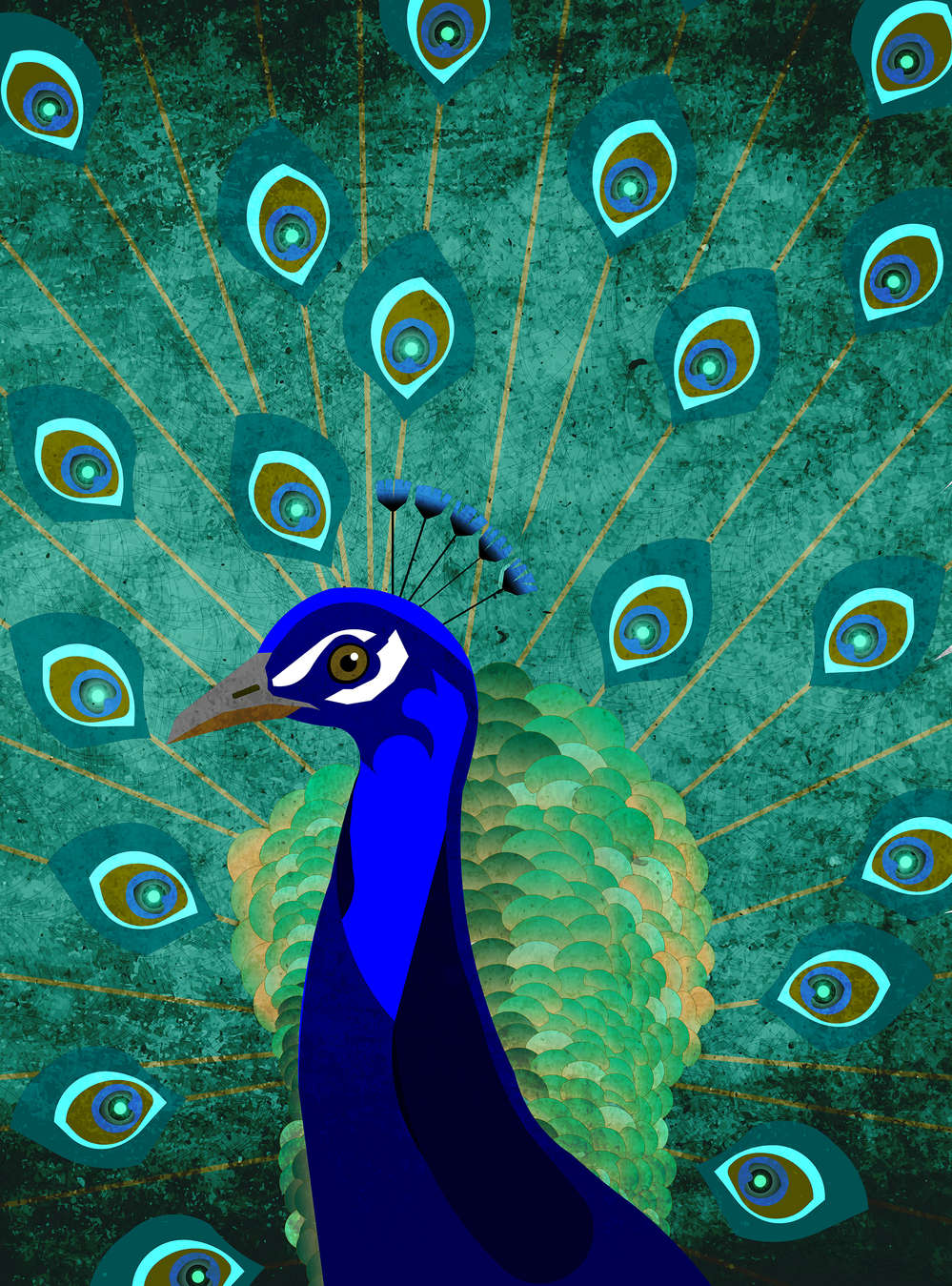 -Peacock, -Feathers, -Blue, -Stylized, -Bird