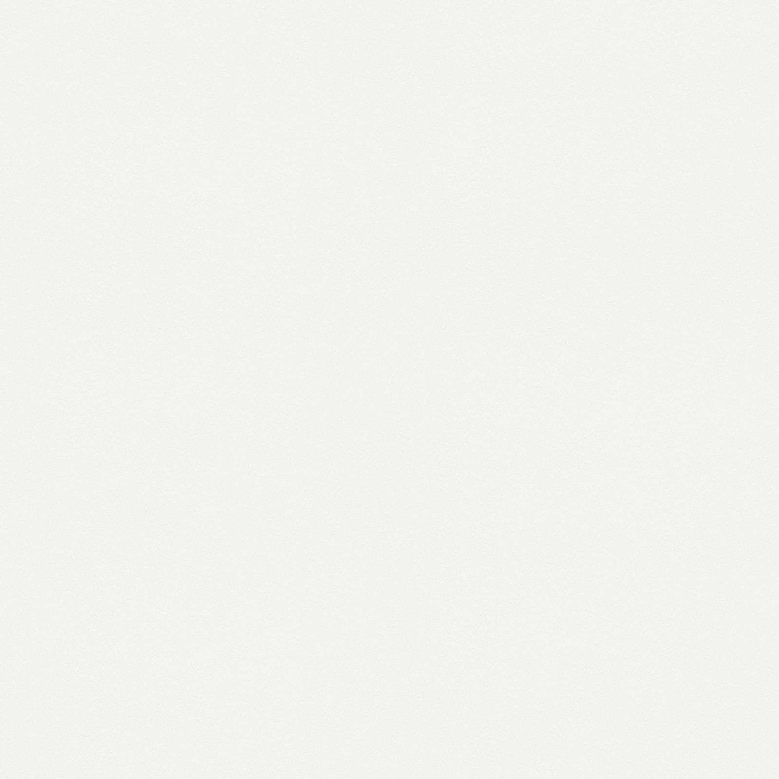         Overschilderbaar vliesbehang met lichte schuimstructuur dubbele breedte - wit
    