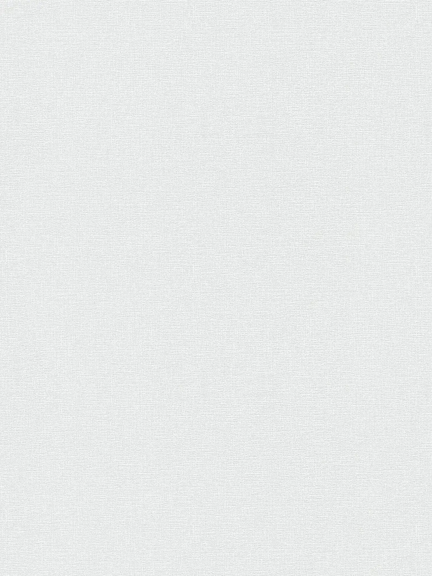         wallpaper light grey matte with subtle textured pattern
    