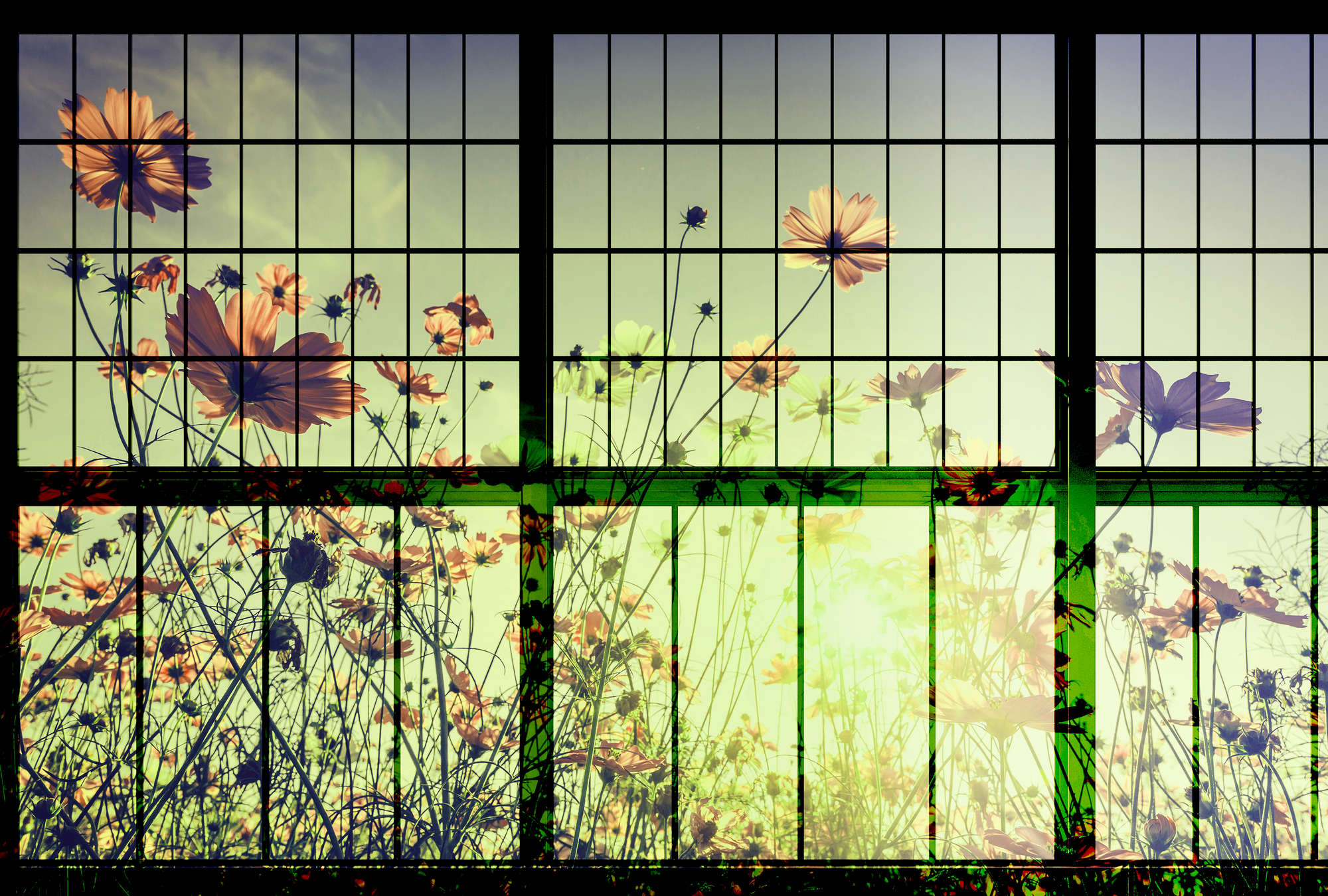 Muntin Window Wallpaper - Flower Meadow | DD113753