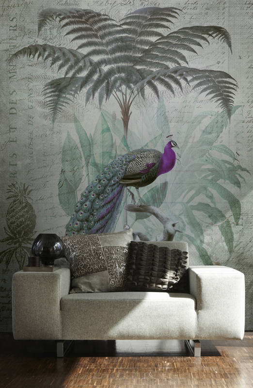 Pfau, Pfauenfedern, Wandtapete, Wohnzimmerwand, Tropisches Motiv